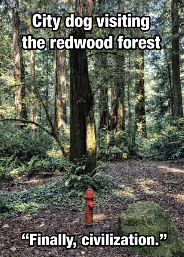 Finally, Civilization