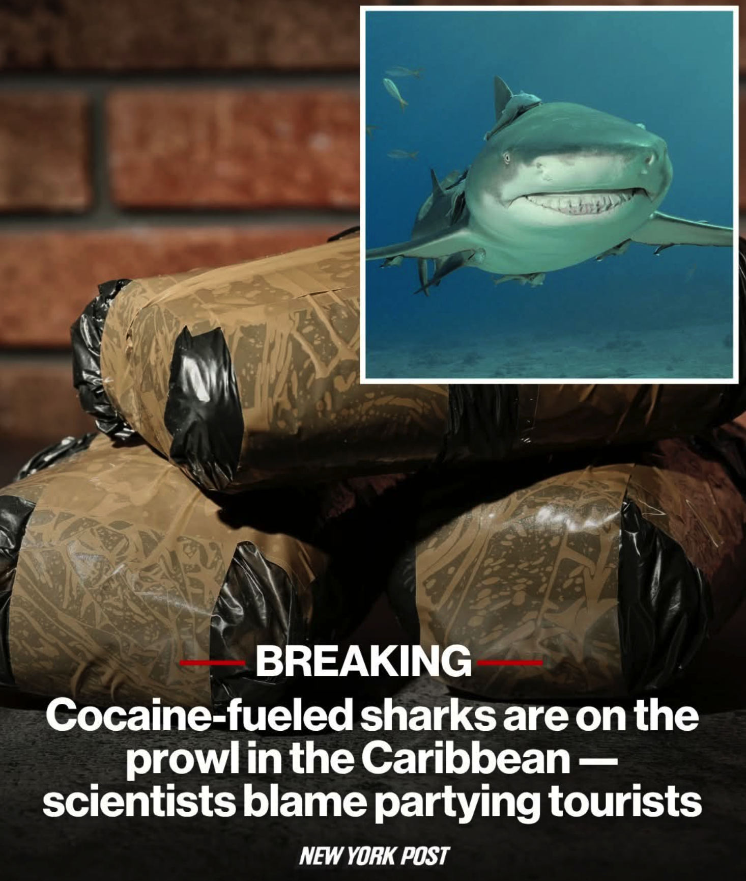 Chaotic Meh meme titled “Cocaine-Fueled Sharks.”