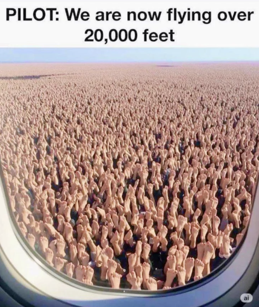 Chaotic Meh meme titled “Flying Over 20,000 Feet.”