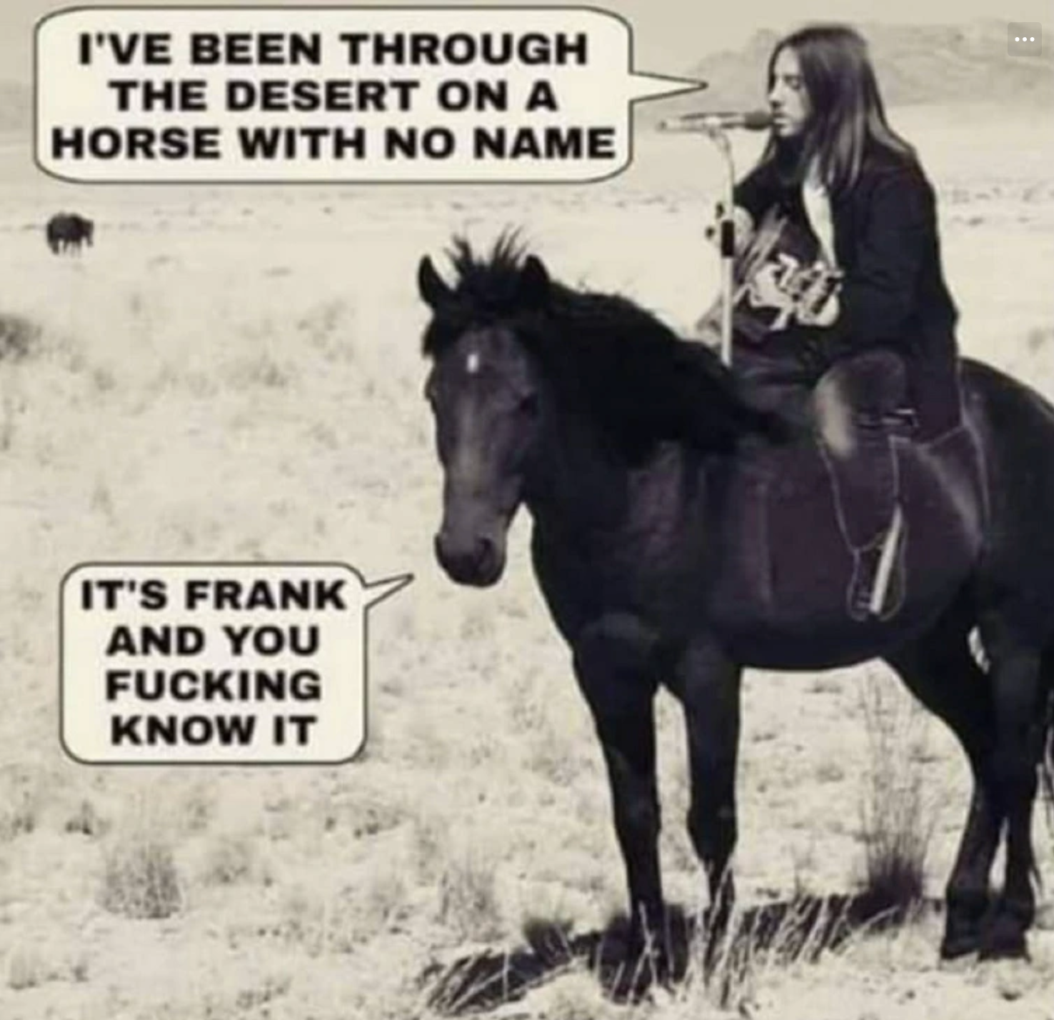 Chaotic Meh meme titled “It’s Frank and You Know It.”