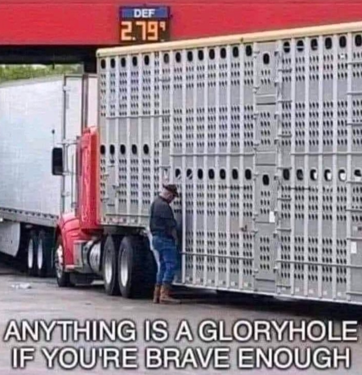 Farmer standing next to a livestock trailer truck peering into the ventilation holes with crude caption text