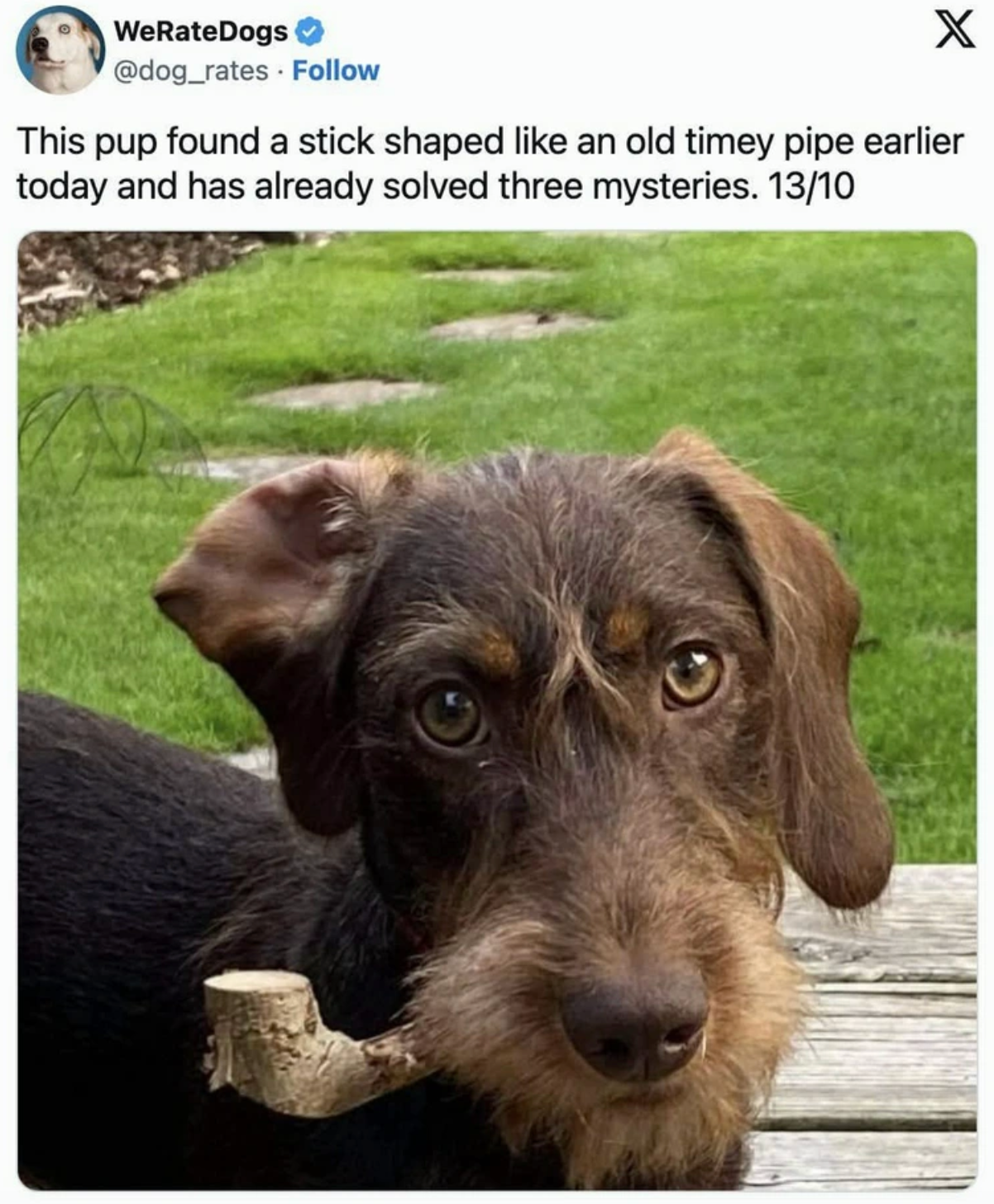 WeRateDogs tweet about a puppy holding a stick shaped like a Sherlock Holmes pipe, rated 13 out of 10