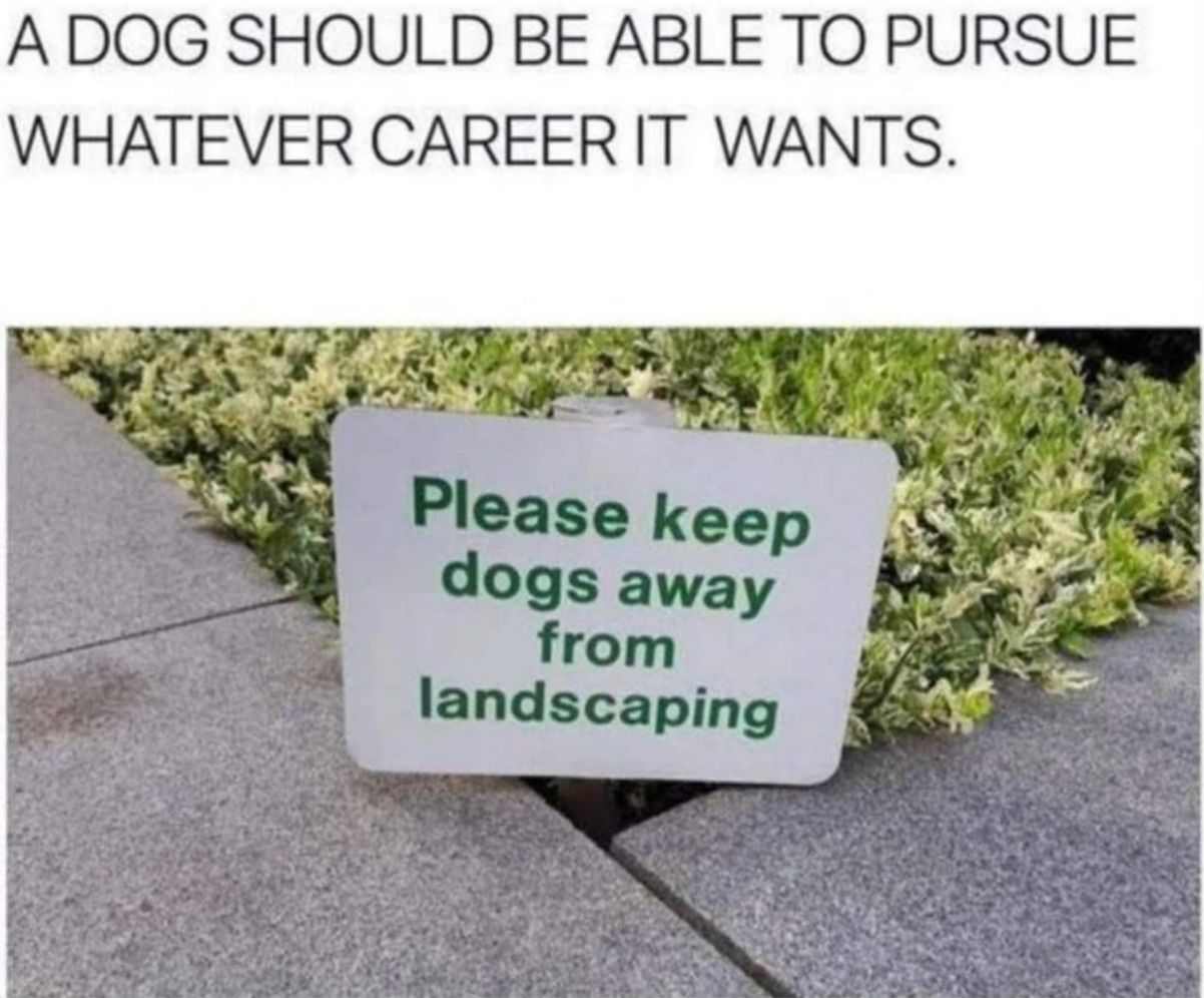 Motivational poster with a golden retriever stating dogs should be able to pursue whatever career they want