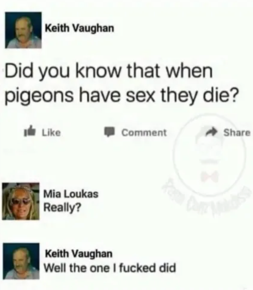 Pigeon Misadventures: A Tale of Woe