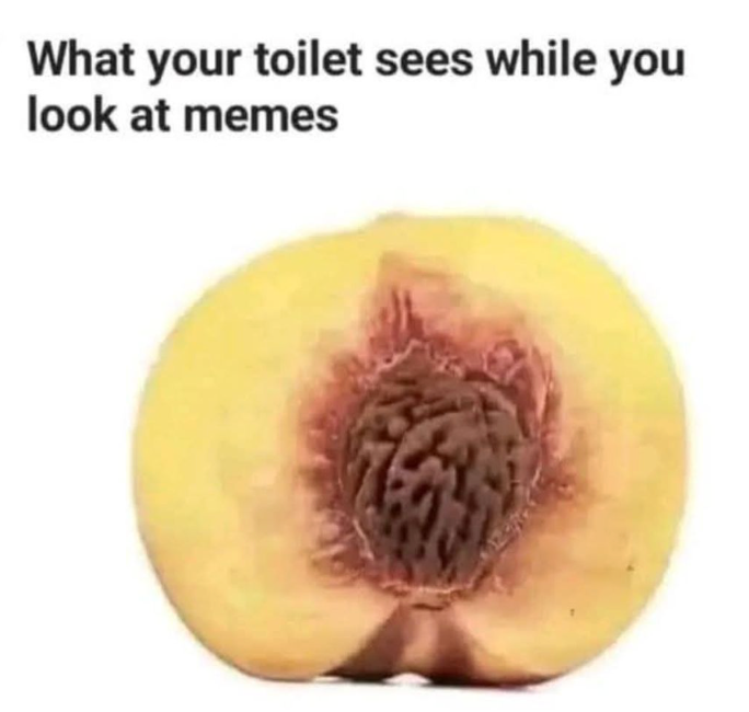 Toilet’s Unexpected View: Memes and Peaches!