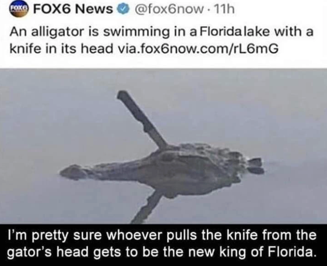Chaotic Meh meme titled “Florida’s King Gator Excalibur Challenge.”