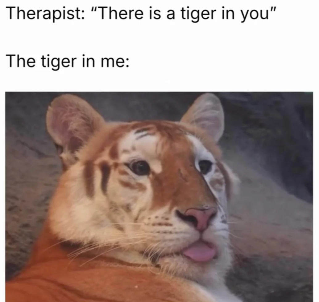 Chaotic Meh meme titled “There Is a Tiger in You.”