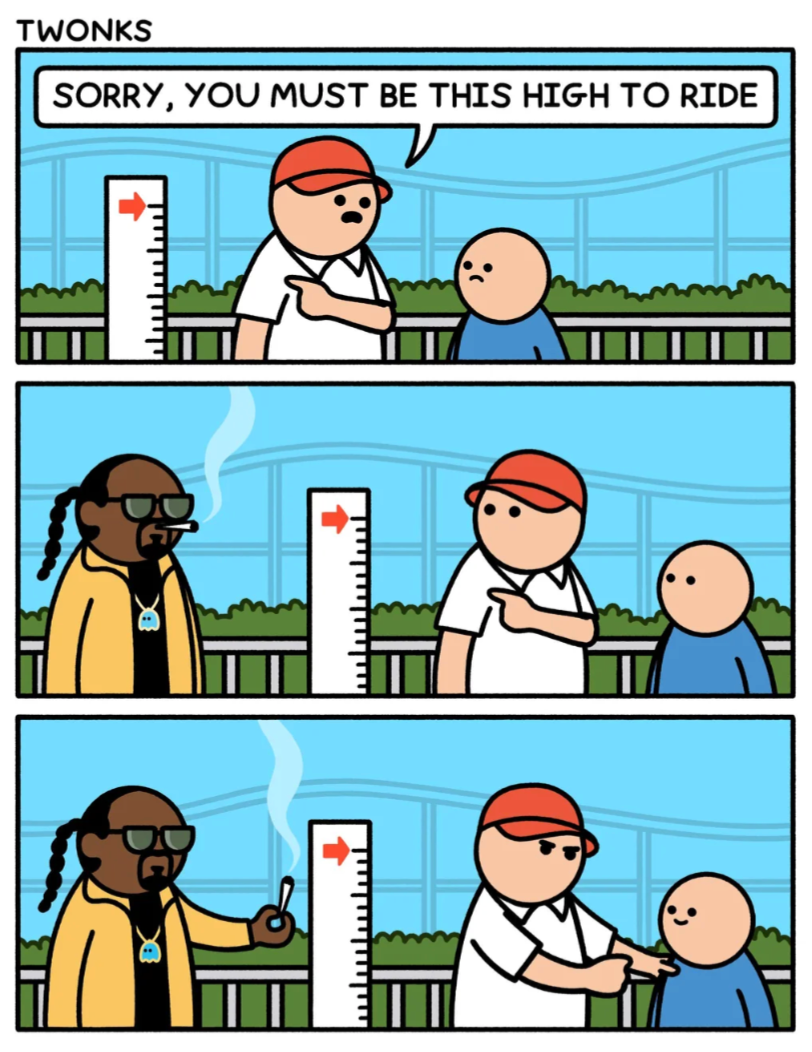Chaotic Meh meme titled “High Standards for Roller Coaster Rides.”