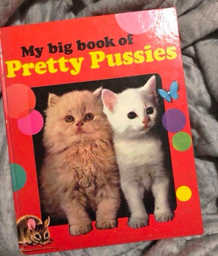 Chaotic Meh meme titled “Big Book Of Pretty Pussies.”