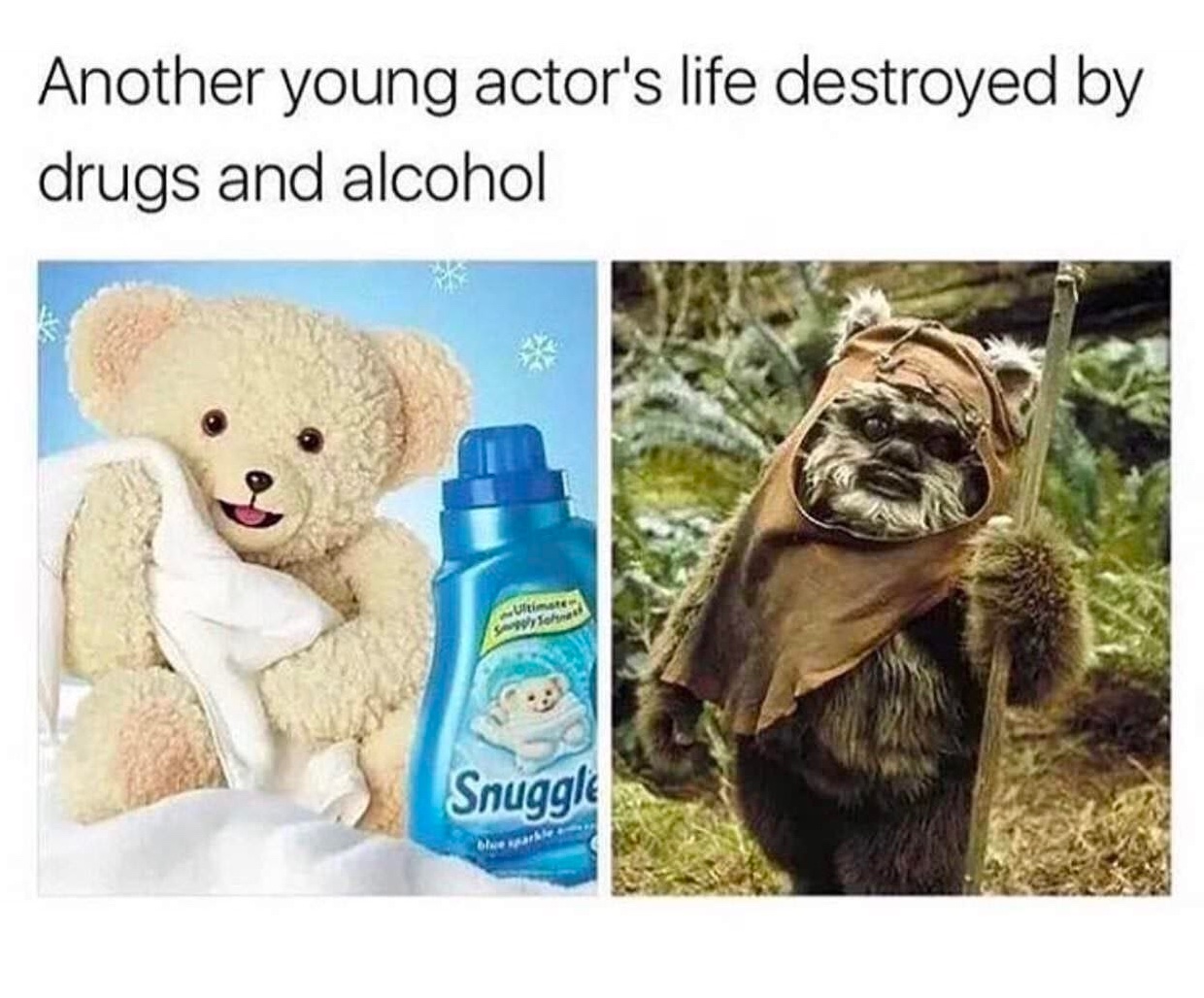 Chaotic Meh meme titled “Starbucks Recycle Landfill.”