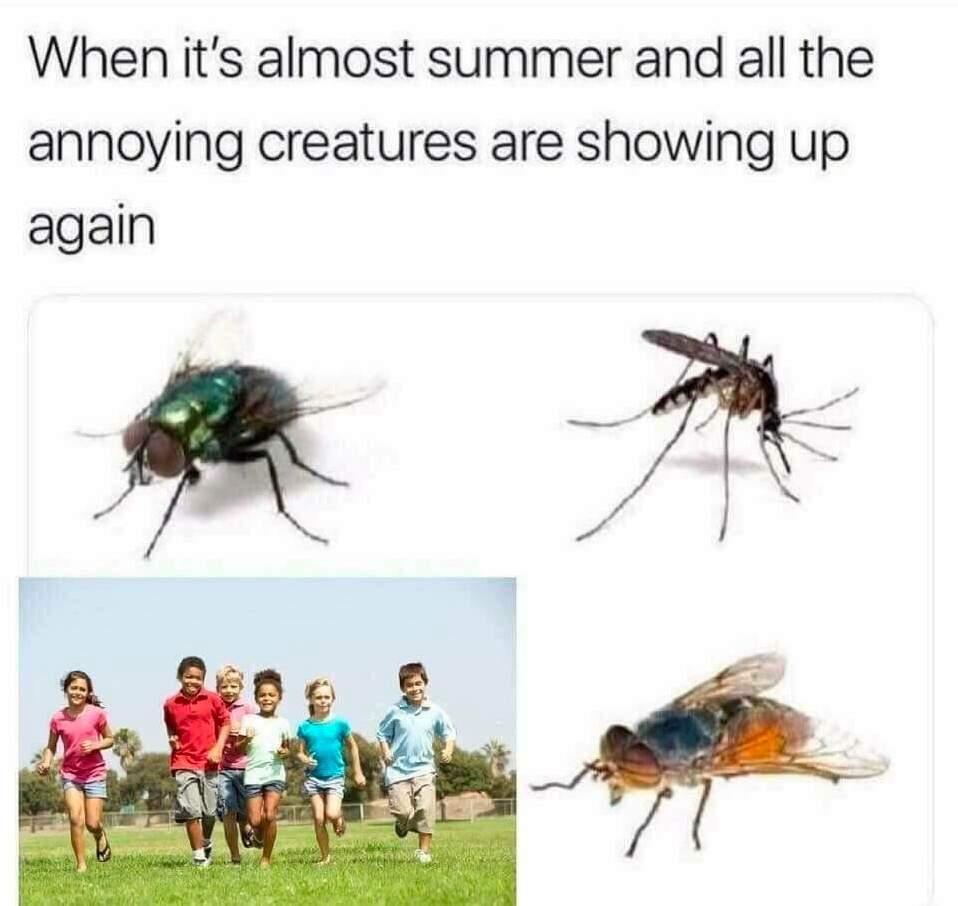 Chaotic Meh meme titled “Annoying Creatures Summer.”