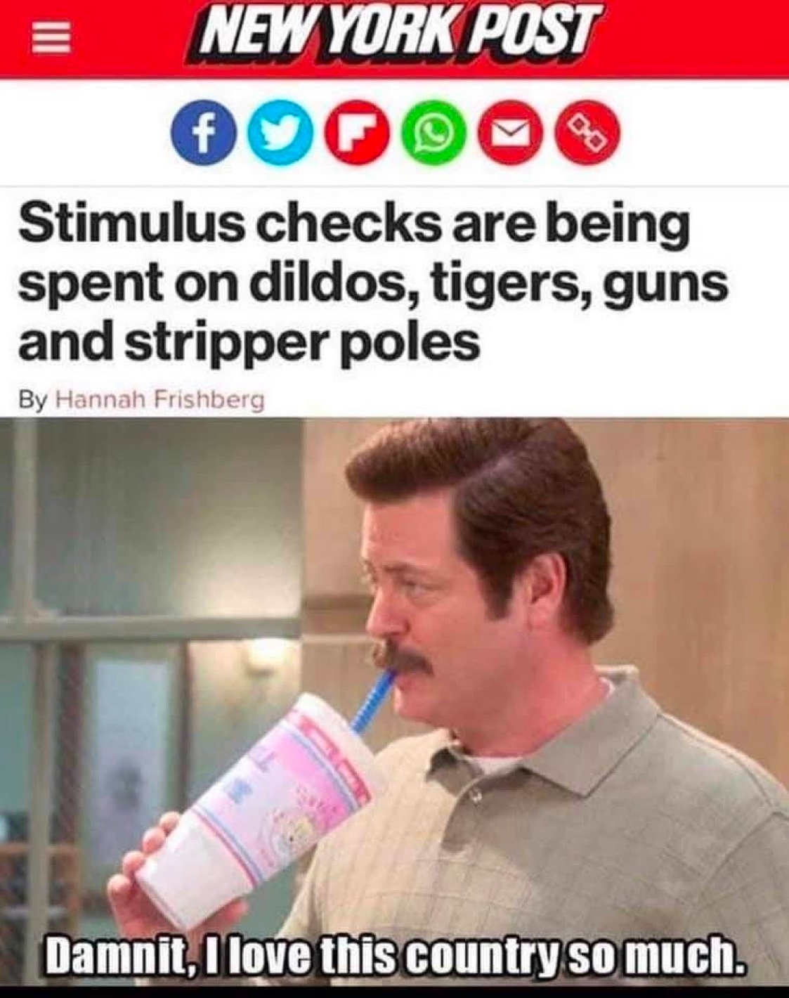 Chaotic Meh meme titled “Stimulus Checks Dildos Tigers Guns.”