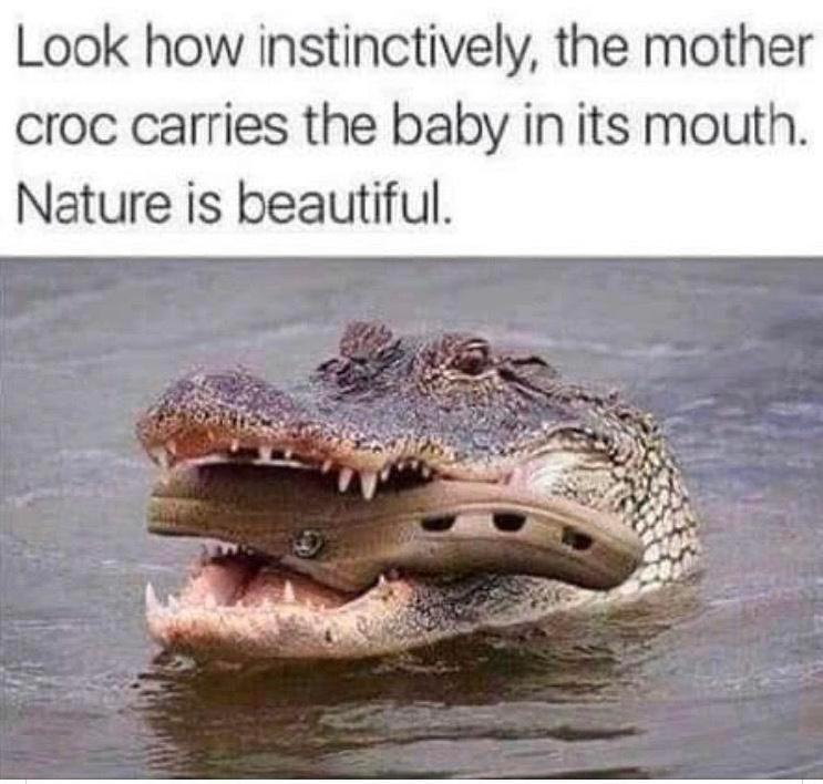 Chaotic Meh meme titled “Mother Croc Carries Baby.”