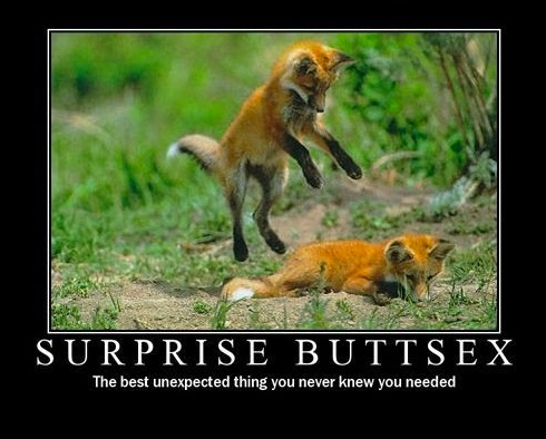 Chaotic Meh meme titled “Surprise Buttsex.”