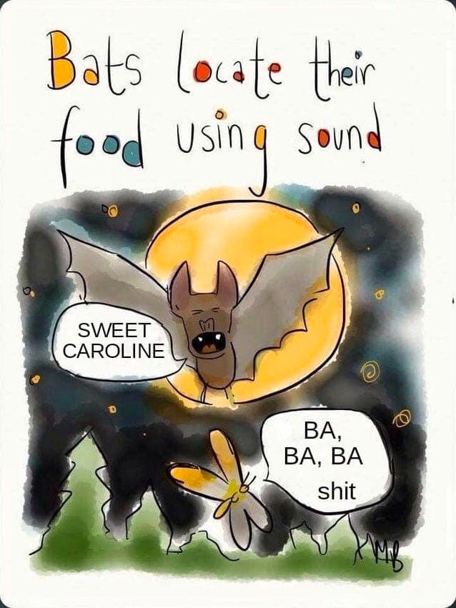 Chaotic Meh meme titled “Bats Locate Their Food Using Sound.”