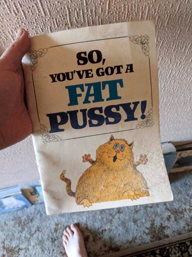 Chaotic Meh meme titled “Fat Pussy Cat.”