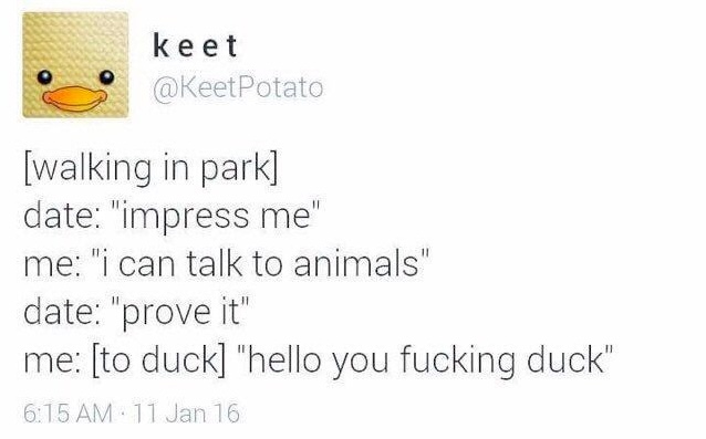Chaotic Meh meme titled “Hello You Fucking Duck.”
