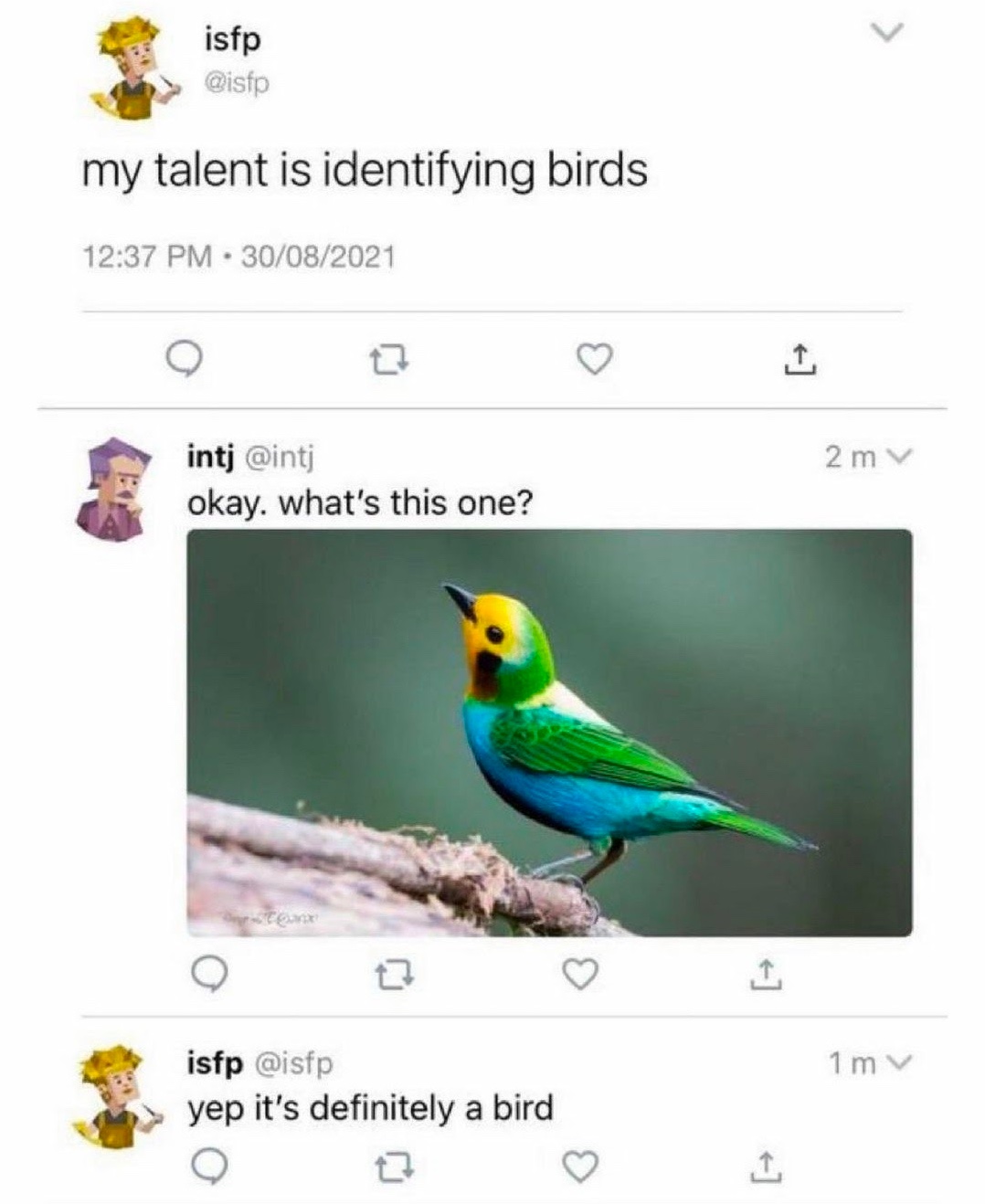 Chaotic Meh meme titled “It’s Definitely a Bird.”
