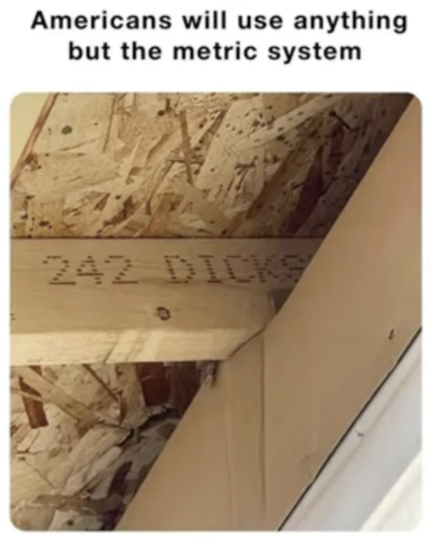 Chaotic Meh meme titled “242 Dicks.”