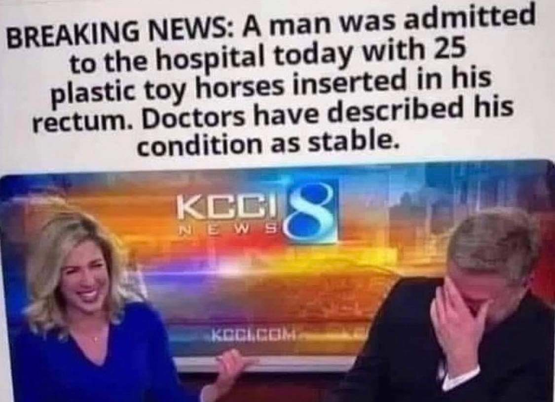 Chaotic Meh meme titled “25 Toy Horses Stable.”