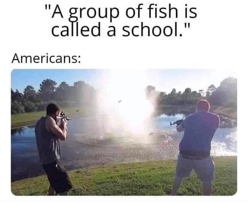 Chaotic Meh meme titled “A Group of Fish Is Called a School – Americans.”