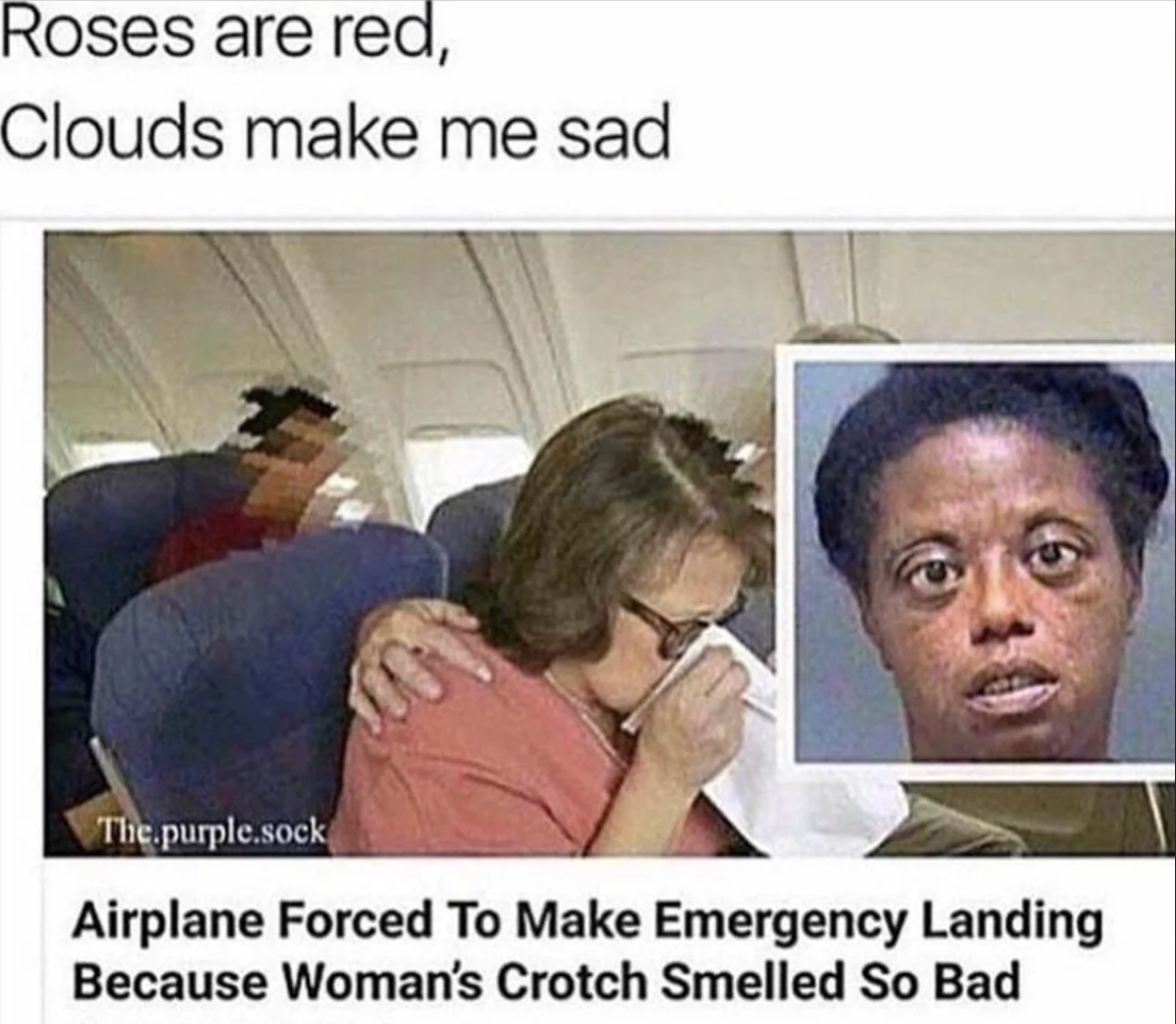 Chaotic Meh meme titled “Airplane Forced To Make Emergency Landing.”