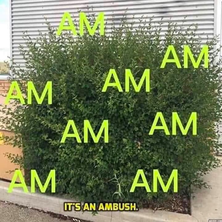 Chaotic Meh meme titled “AM It’s an Ambush.”