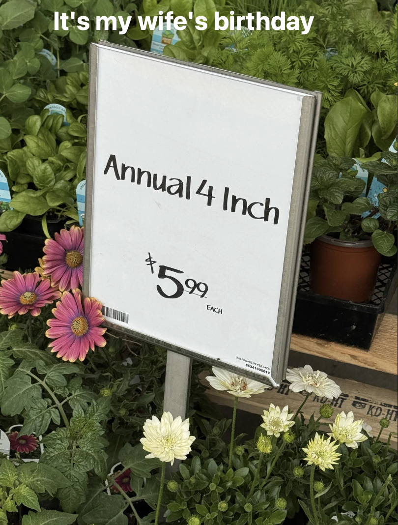 Chaotic Meh meme titled “Annual 4 Inch.”
