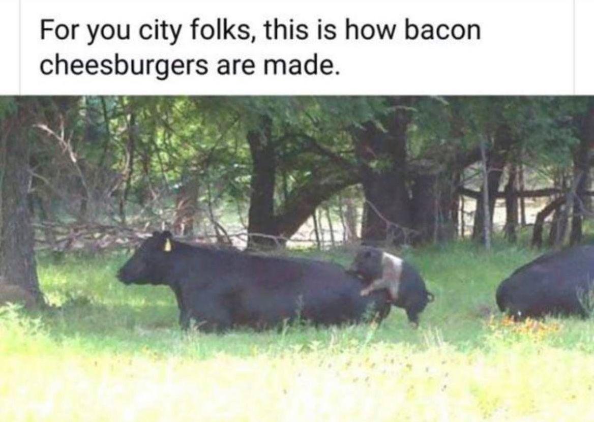 Chaotic Meh meme titled “Bacon Cheeseburgers Are Made.”