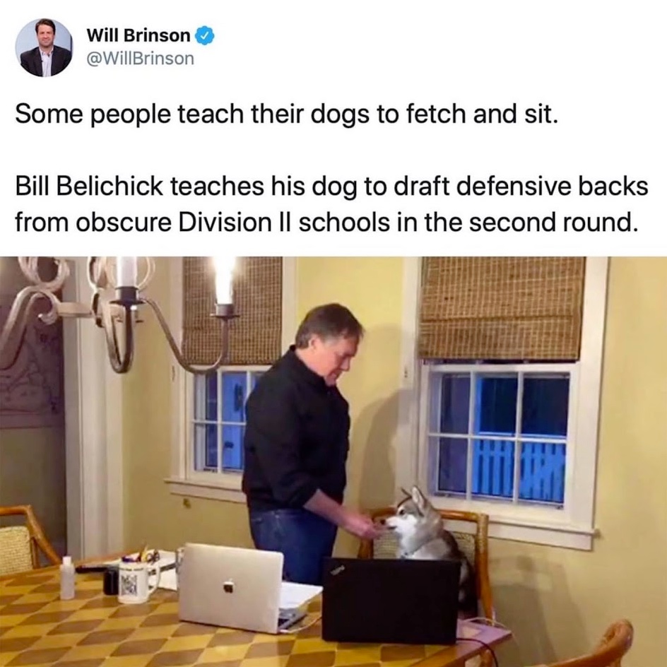 Chaotic Meh meme titled “Belichick Dog Draft.”