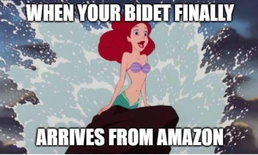 Chaotic Meh meme titled “Bidet Amazon.”