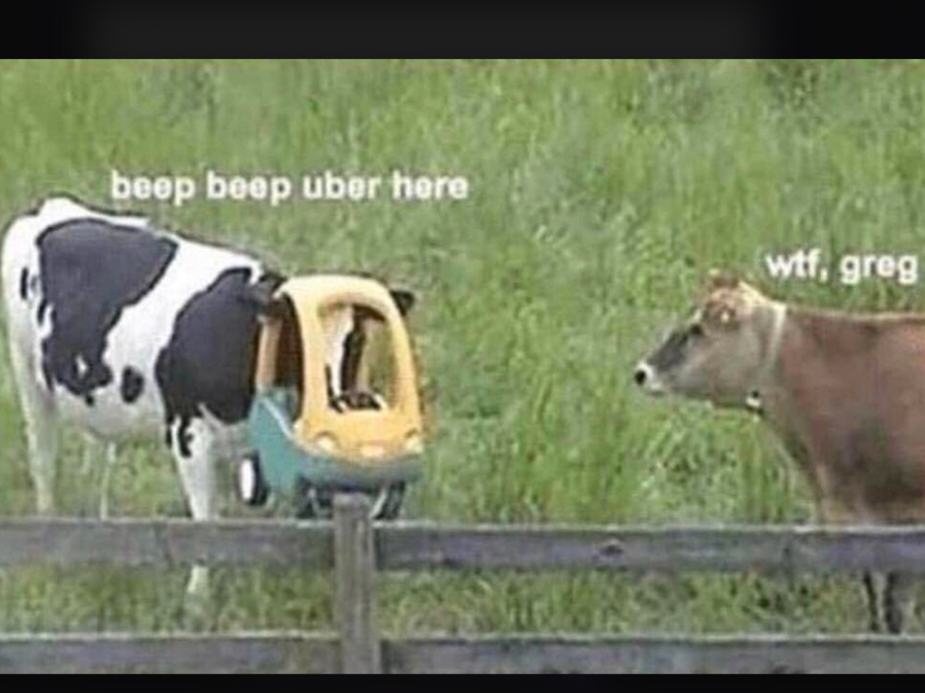 Chaotic Meh meme titled “Boop Boop Uber Here.”
