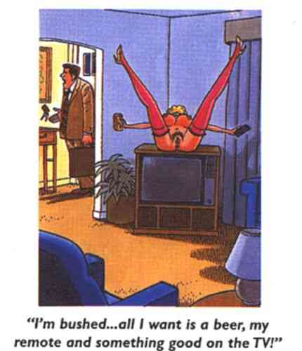 Chaotic Meh meme titled “Bushed Beer Remote TV.”