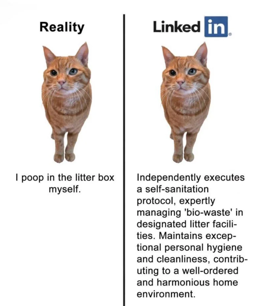 Chaotic Meh meme titled “Cat LinkedIn Reality.”