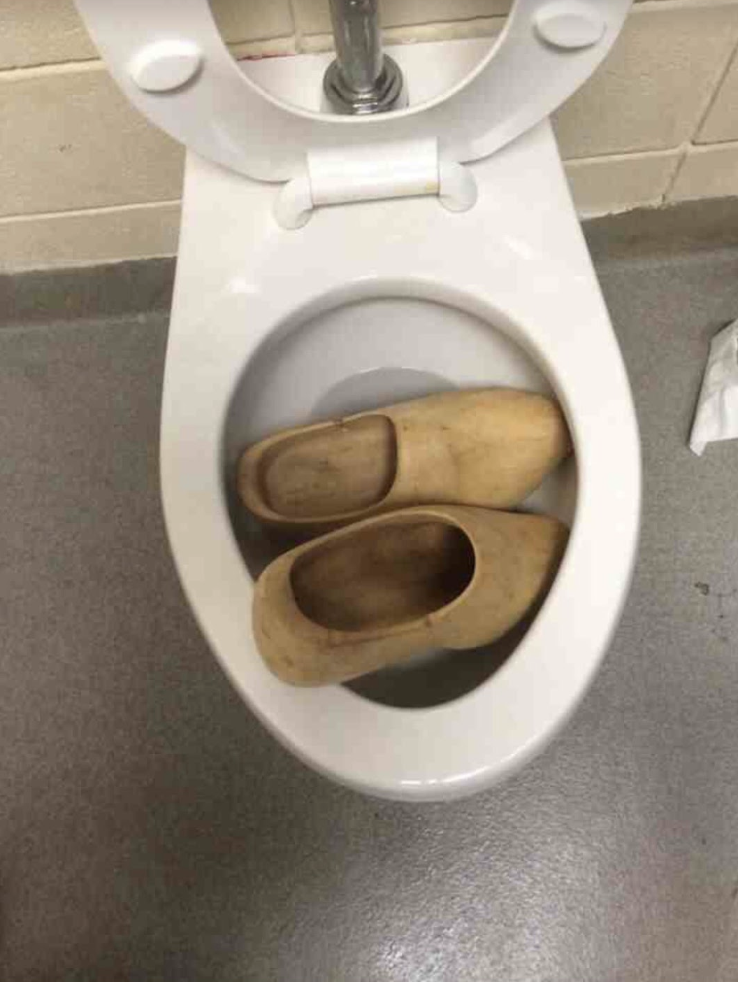Chaotic Meh meme titled “Clogs In Toilet.”