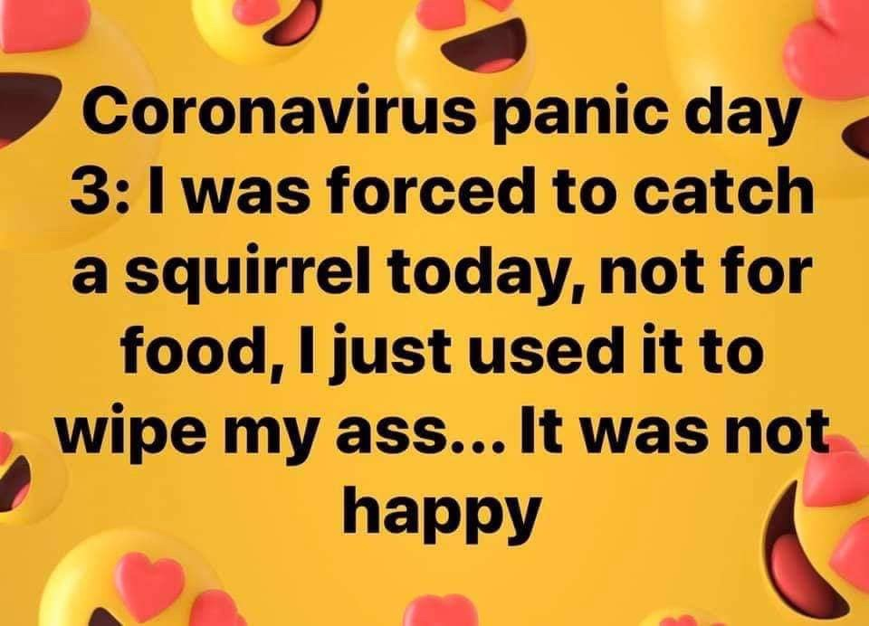Chaotic Meh meme titled “Coronavirus Squirrel Ass.”