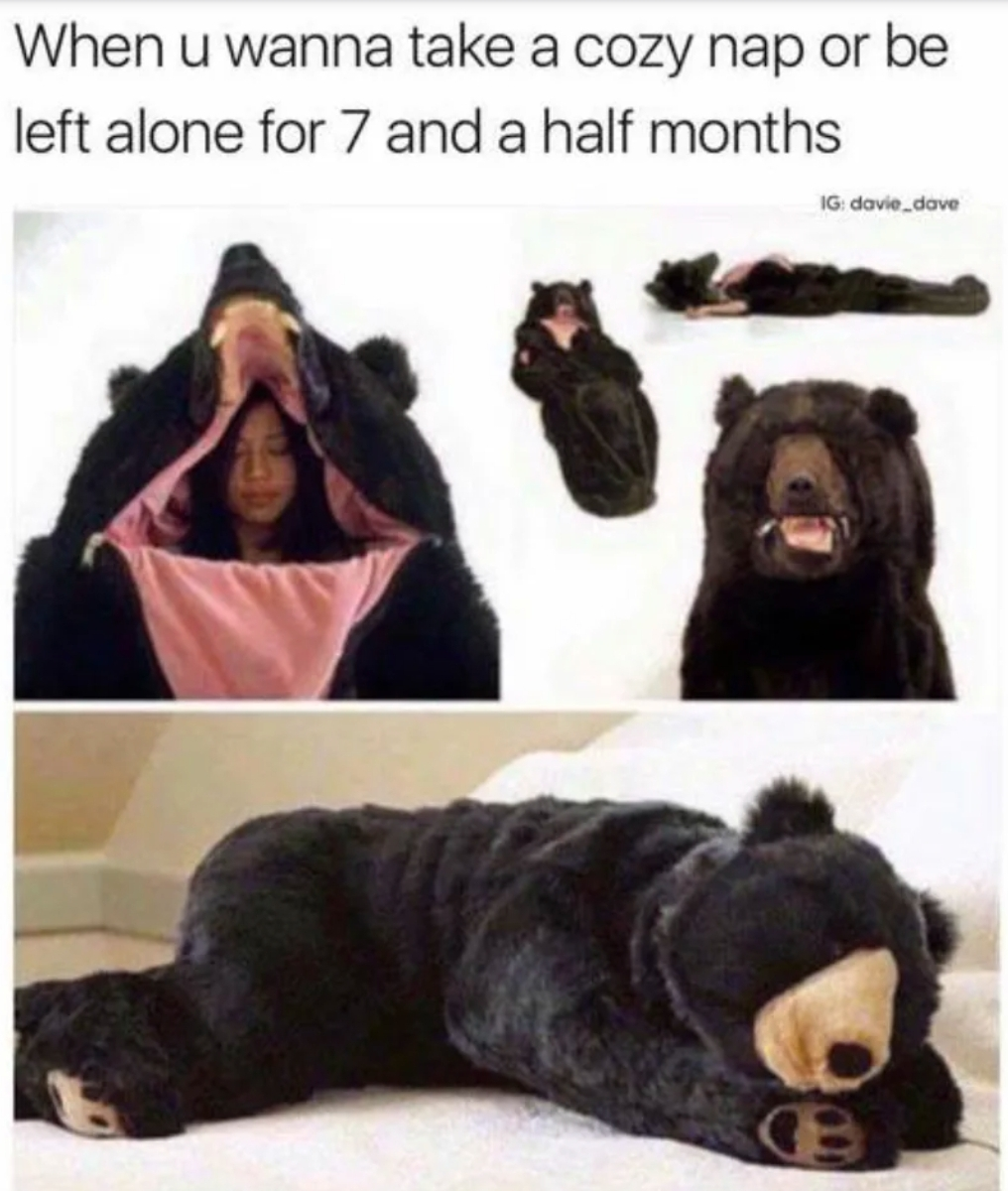 Chaotic Meh meme titled “Cozy Nap 7 Months.”