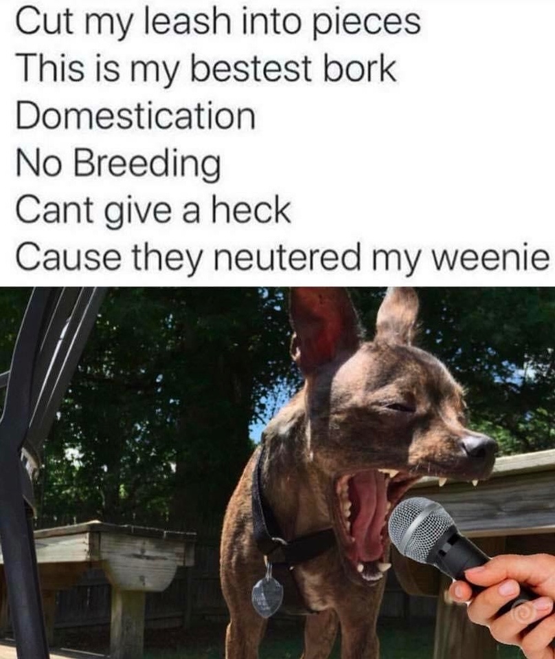 Chaotic Meh meme titled “Cut My Leash Into Pieces.”