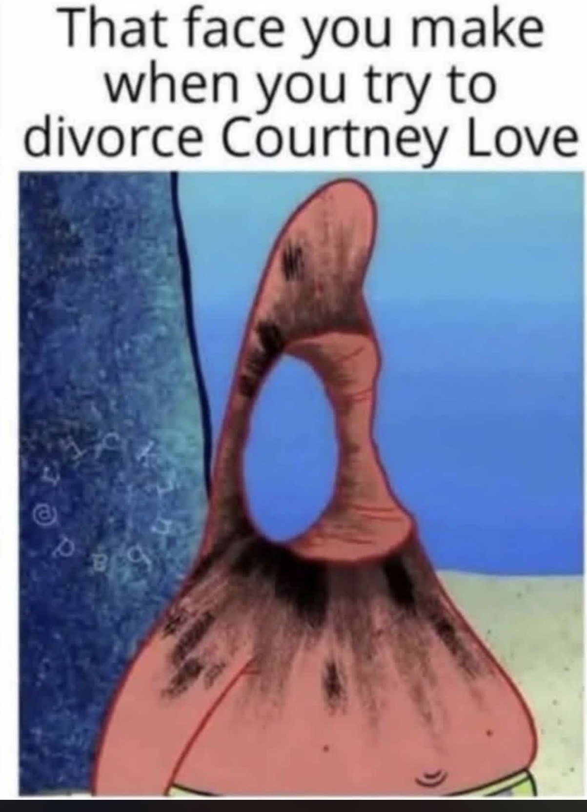 Chaotic Meh meme titled “Divorce Courtney Love.”