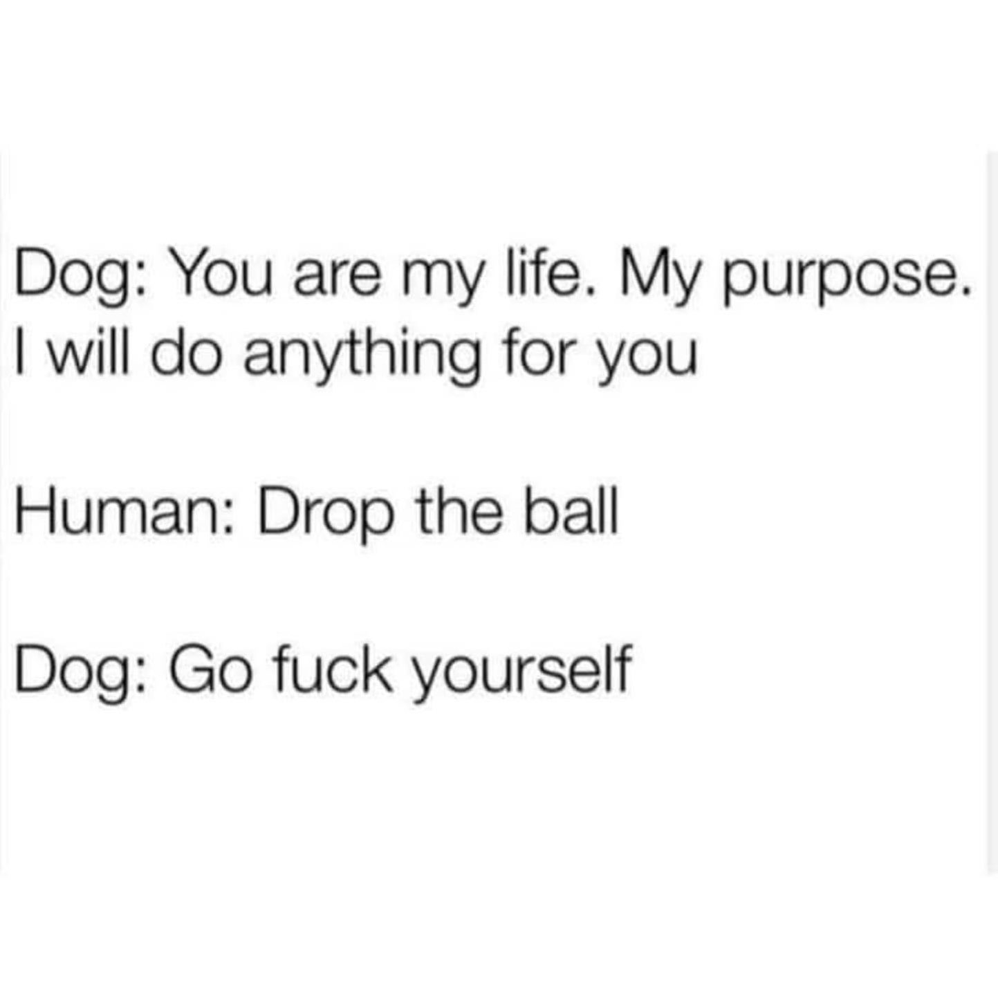 Chaotic Meh meme titled “Dog: Drop the Ball – Dog: Go Fuck Yourself.”
