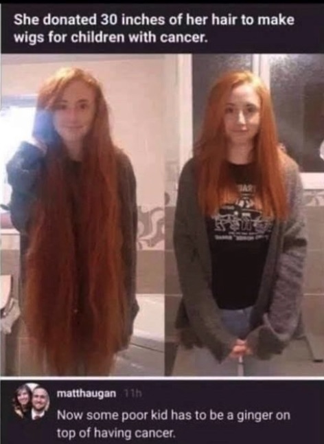 Chaotic Meh meme titled “Donated 30 Inches of Hair for Wigs – Now Some Poor Kid Has to Be a Ginger on Top of Having Ca…
