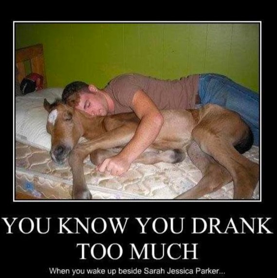 Chaotic Meh meme titled “Drank Too Much SJP.”