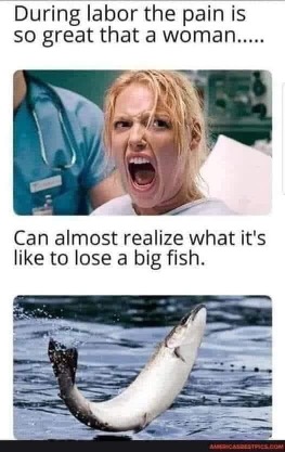 Chaotic Meh meme titled “During Labor the Pain Is So Great That a Woman Can Almost Realize What It’s Like to Lose a Bi…