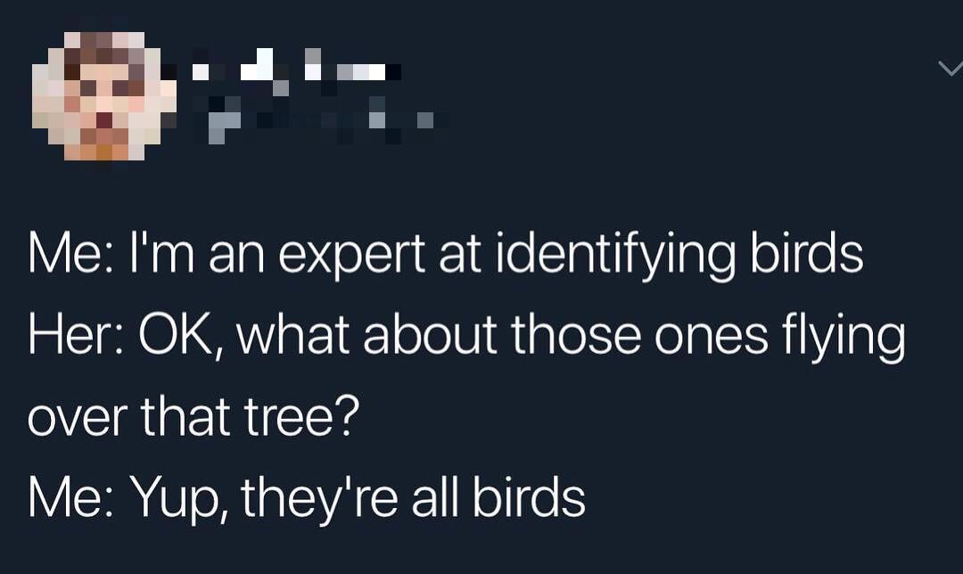 Chaotic Meh meme titled “Expert Identifying Birds.”