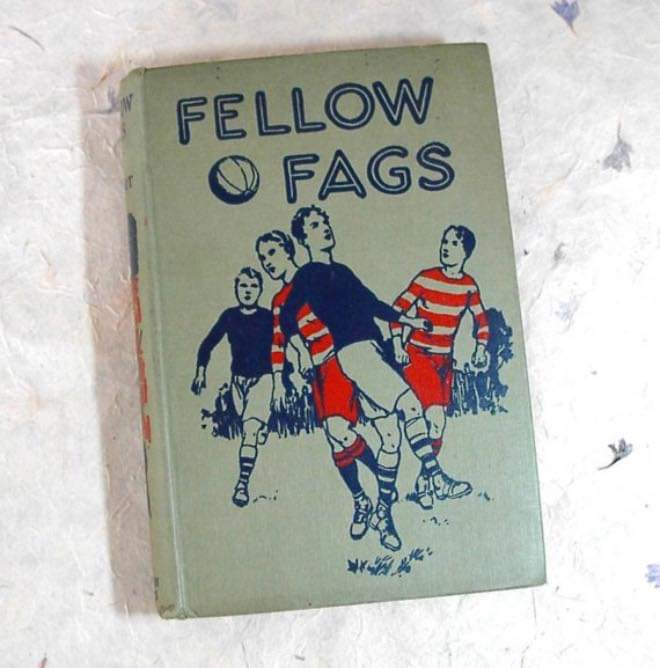 Chaotic Meh meme titled “Fellow Fags.”