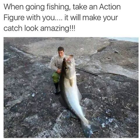 Chaotic Meh meme titled “When Going Fishing Take an Action Figure With You – It Will Make Your Catch Look Amazing.”