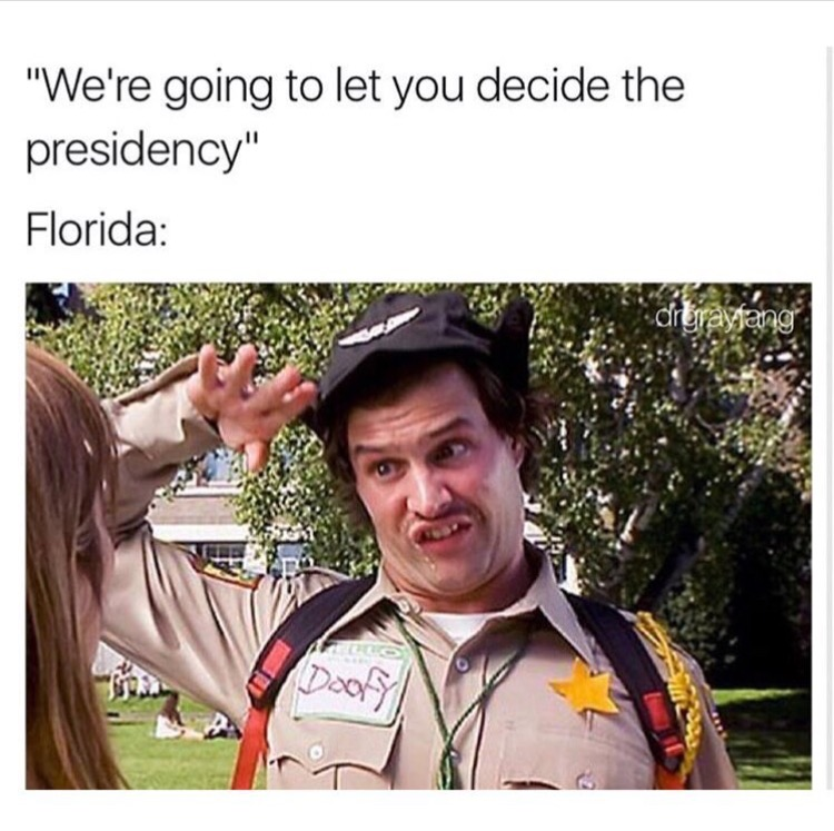 Chaotic Meh meme titled “Florida Decide Presidency.”