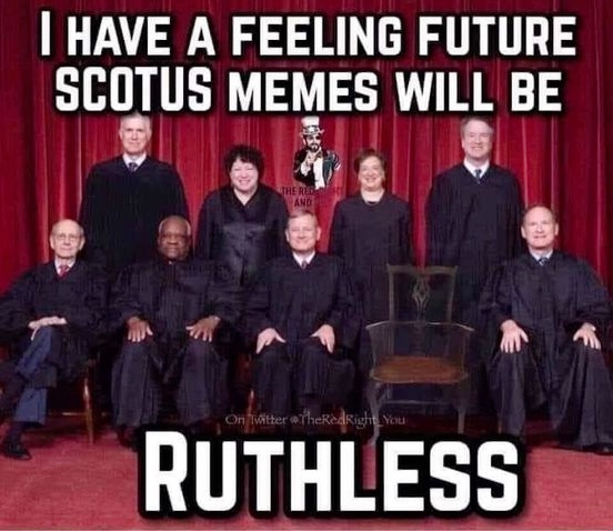 Chaotic Meh meme titled “SCOTUS Memes Ruthless.”