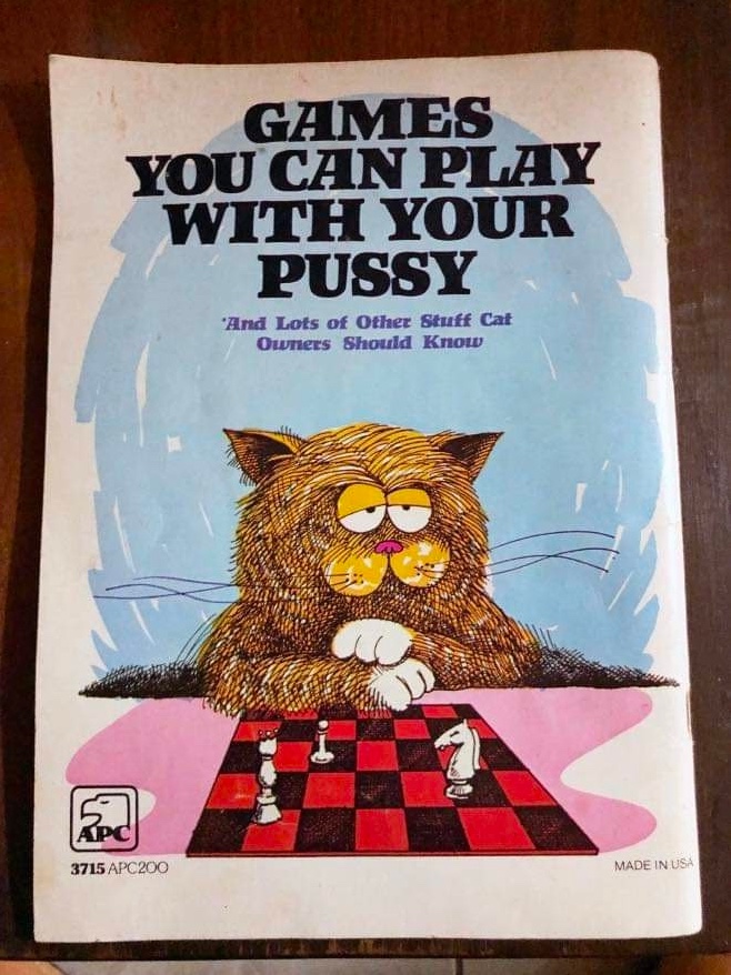 Chaotic Meh meme titled “Games You Can Play With Your Pussy.”