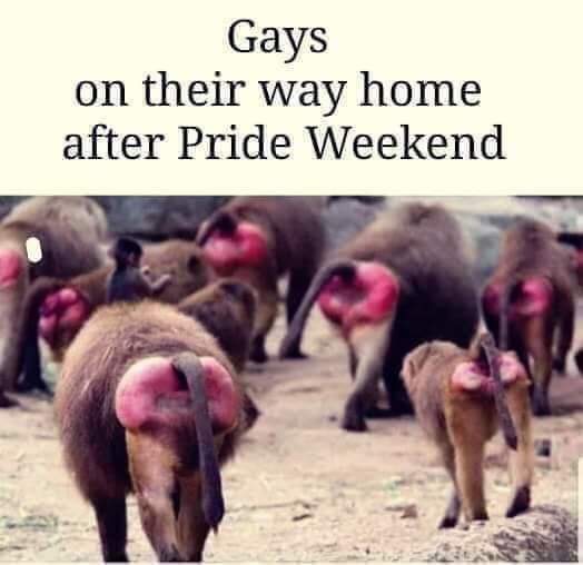 Chaotic Meh meme titled “Gays on Their Way Home After Pride Weekend.”